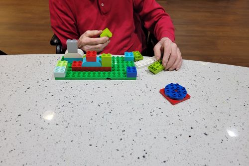 A person in a red shirt creating with brick pieces